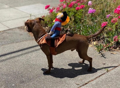 Disfraz Para Mascotas De Vaquero