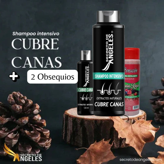 Cool Trendys COMBO SHAMPOO CUBRE CANAS SECRETO DE ANGELES+ 2 OBSEQUIO 🖤🧔🏻‍♀️