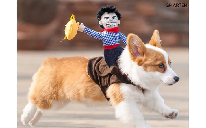 Cool Trendys Halloween Disfraz Para Mascotas De Vaquero