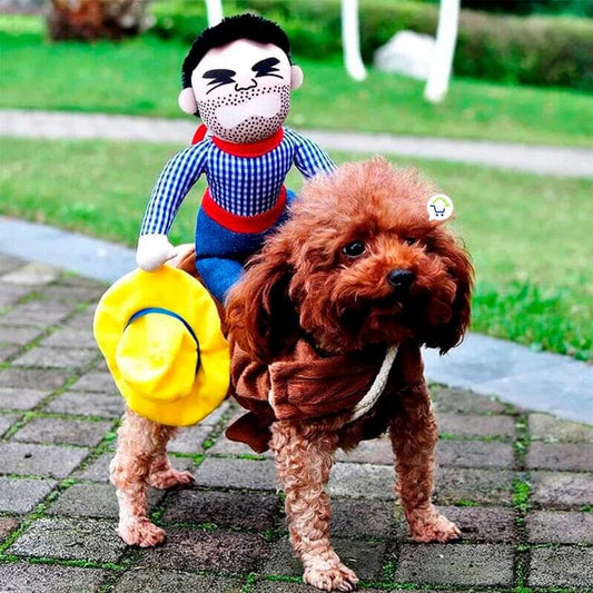 Cool Trendys Halloween Disfraz Para Mascotas De Vaquero