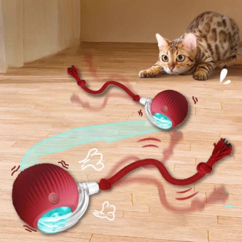 Cool Trendys Jugueteria Happypet Drops🐶Pelota interactiva.